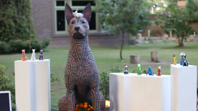 Organización Merequetengue Educare 1